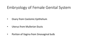 Embryology of Female Genital System
• Ovary from Coelomic Epithelium
• Uterus from Mullerian Ducts
• Portion of Vagina from Sinovaginal bulb
 