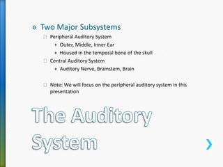 Anatomy of the Auditory System: A Review | PPTX
