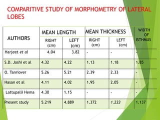 ANATOMY SEMINAR PPT.pptx