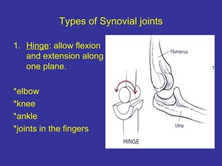 Types of Synovial joints
1. Hinge: allow flexion
and extension along
one plane.
*elbow
*knee
*ankle
*joints in the fingers
 