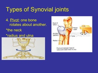 Types of Synovial joints
4. Pivot: one bone
rotates about another.
*the neck
*radius and ulna
 
