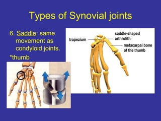 Types of Synovial joints
6. Saddle: same
movement as
condyloid joints.
*thumb
 