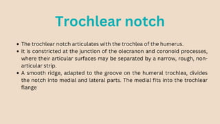 Anatomy SSS Demo Class (Elbow Bones).pdf