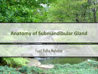 Anatomy of Submandibular Gland
Fuad Ridha Mahabot

1

 