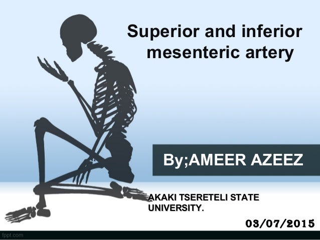 Anatomy Superior Mesenteric Artery Anatomy Superior Mesenteric Artery