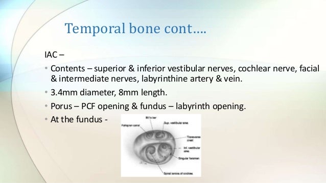 Anatomy of temporal bone