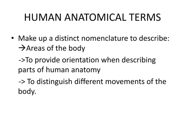 Anatomy Terminologies Ppt