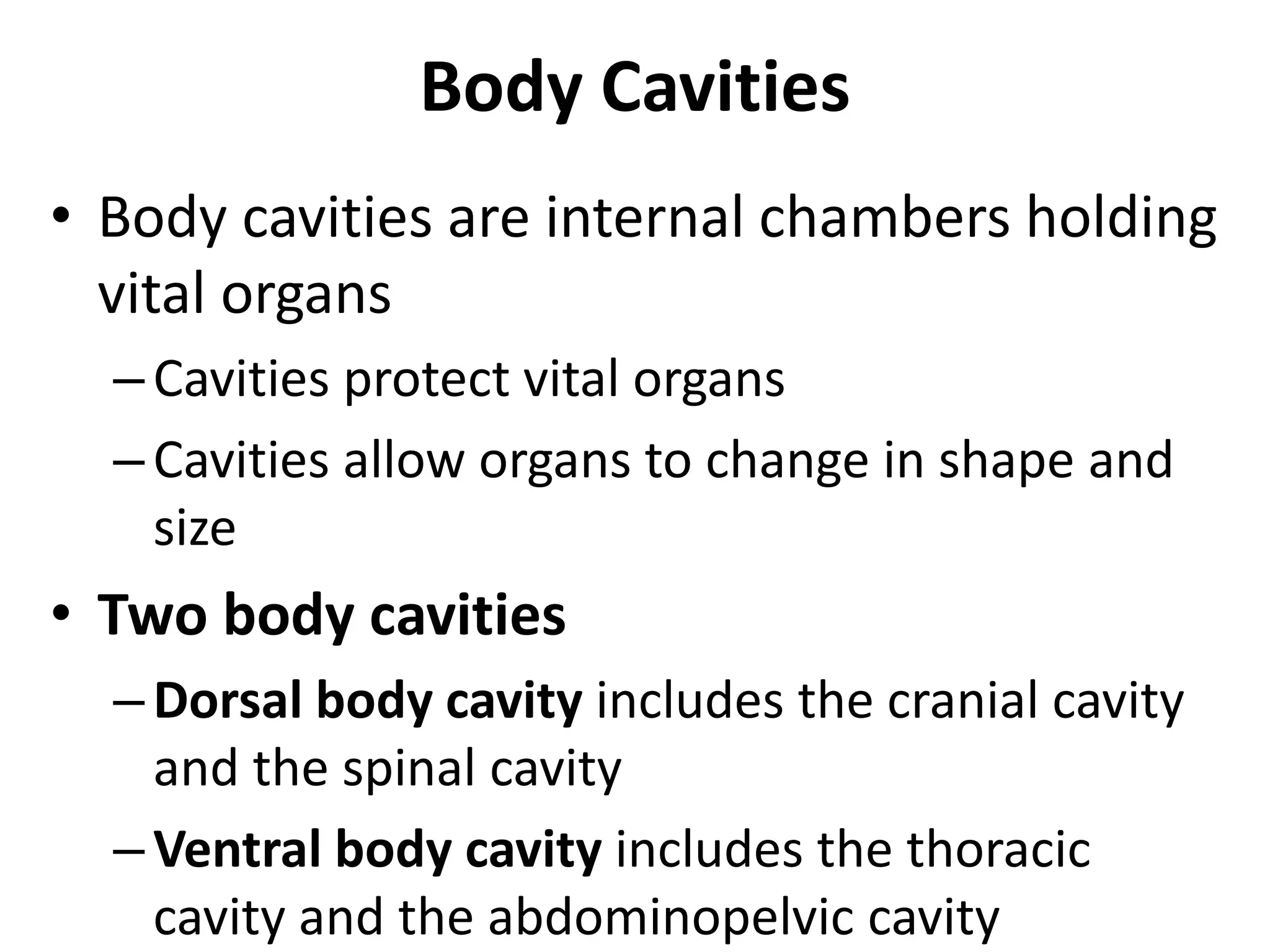 Body Cavities
• Body cavities are internal chambers holding
vital organs
–Cavities protect vital organs
–Cavities allow organs to change in shape and
size
• Two body cavities
–Dorsal body cavity includes the cranial cavity
and the spinal cavity
–Ventral body cavity includes the thoracic
cavity and the abdominopelvic cavity
 