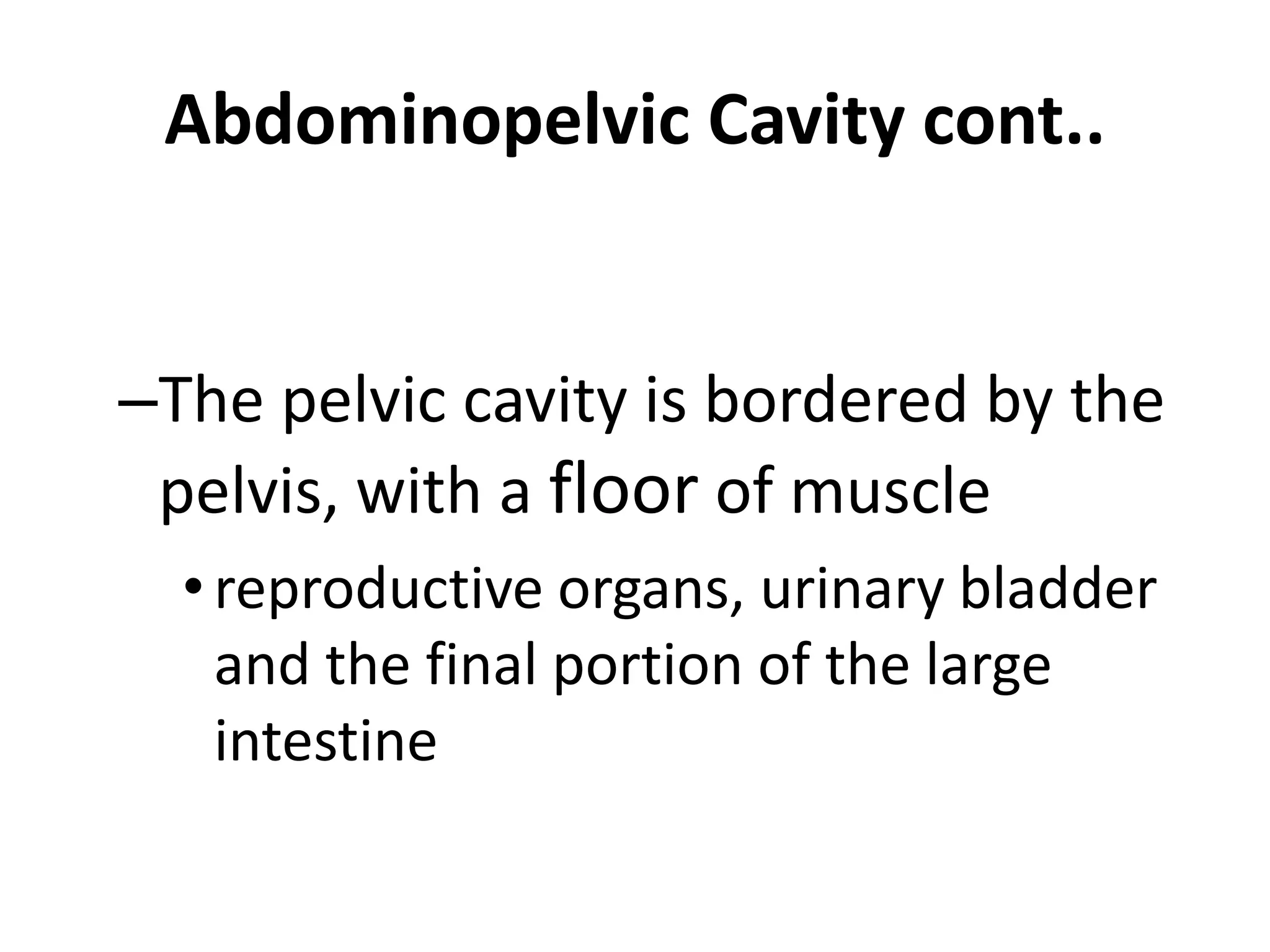 Abdominopelvic Cavity cont..
–The pelvic cavity is bordered by the
pelvis, with a floor of muscle
•reproductive organs, urinary bladder
and the final portion of the large
intestine
 