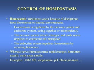 Aterminology.ppt