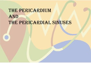 The pericardium
and
the pericardial sinuses
 