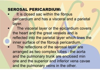 SEROSAL PERICARDIUM:
   It is closed sac within the fibrous
  pericardium and has a visceral and a parietal
  layer.
    The visceral layer or the epicardium covers
  the heart and the great vessels and is
  reflected into the parietal layer which lines the
  inner surface of the fibrous pericardium.
    The reflections of the serosal layer are
  arranged as two complex tubes : the aorta
  and the pulmonary trunk are enclosed min
  one and the superior and inferior vena cavae
  and the pulmonary veins in the other.
 