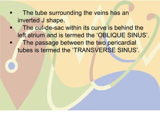    The tube surrounding the veins has an
  inverted J shape.
   The cul-de-sac within its curve is behind the
  left atrium and is termed the „OBLIQUE SINUS‟.
   The passage between the two pericardial
  tubes is termed the „TRANSVERSE SINUS‟.
 