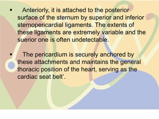      Anteriorly, it is attached to the posterior
    surface of the sternum by superior and inferior
    sternopericardial ligaments. The extents of
    these ligaments are extremely variable and the
    suerior one is often undetectable.

     The pericardium is securely anchored by
    these attachments and maintains the general
    thoracic position of the heart, serving as the
    cardiac seat belt‟.
 