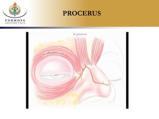 Anatomy toxin injections | PPTX