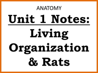 ANATOMY 
Unit 1 Notes: 
Living 
Organization 
& Rats 
 