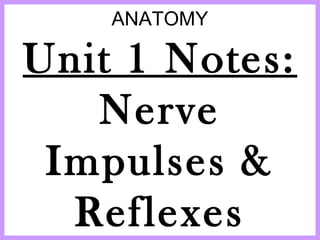 ANATOMY 
Unit 1 Notes: 
Nerve 
Impulses & 
Reflexes 
 