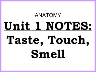 ANATOMY 
Unit 1 NOTES: 
Taste, Touch, 
Smell 
 