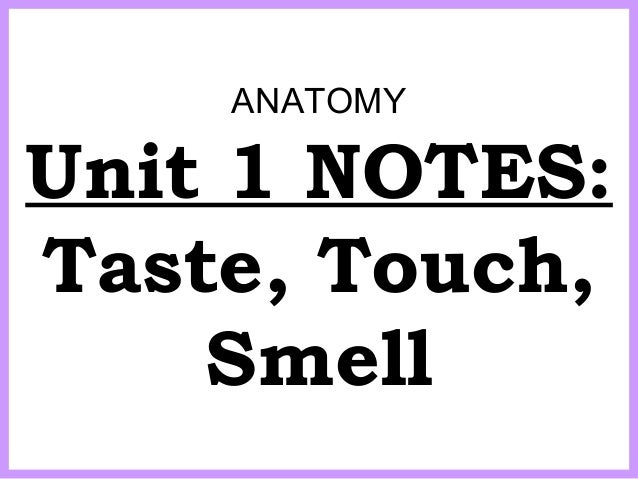 anatomy unit 1 notes taste touch smell touch notes