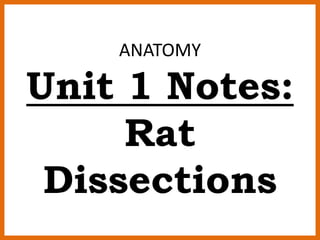 ANATOMY
Unit 1 Notes:
Rat
Dissections
 