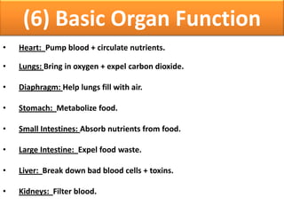 (6) Basic Organ Function
• Heart: Pump blood + circulate nutrients.
• Lungs: Bring in oxygen + expel carbon dioxide.
• Diaphragm: Help lungs fill with air.
• Stomach: Metabolize food.
• Small Intestines: Absorb nutrients from food.
• Large Intestine: Expel food waste.
• Liver: Break down bad blood cells + toxins.
• Kidneys: Filter blood.
 