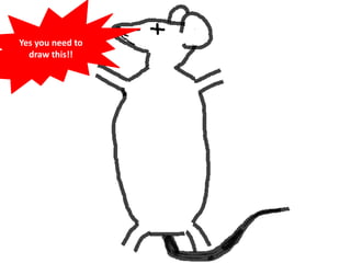 Yes you need to
draw this!!
 