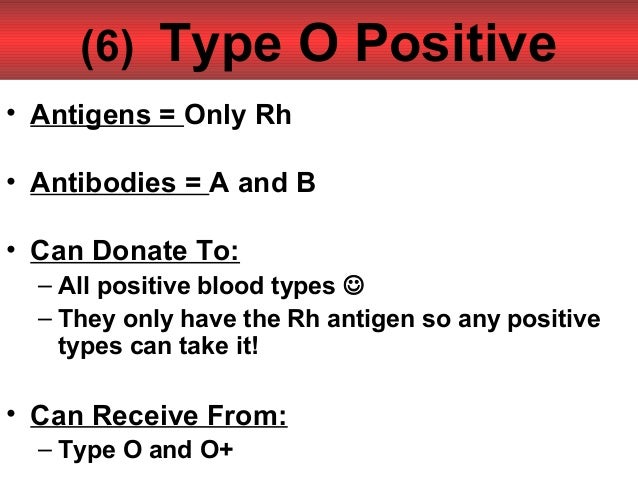 Anatomy Unit 2 Notes Blood Typing