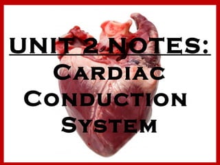 UNIT 2 NOTES: 
Cardiac 
Conduction 
System 
 