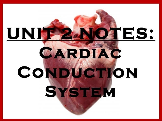 unit 2 anatomy Equine unit 2 - national ffa organization. unit 2 anatomy Equine unit 2 - national ffa organization.