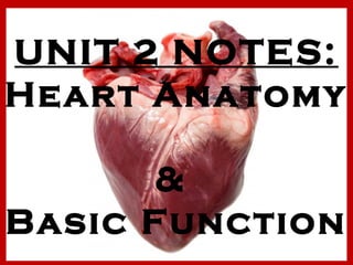 UNIT 2 NOTES: 
Heart Anatomy 
& 
Basic Function 
 
