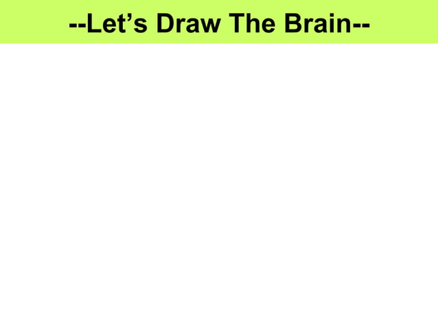 Anatomy unit 2 nervous system brain dissection notes | PPT