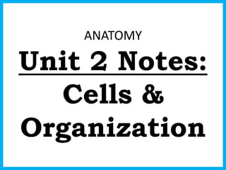 ANATOMY
Unit 2 Notes:
Cells &
Organization
 