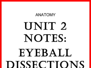 ANATOMY
Unit 2
notes:
eyeball
 