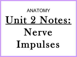 ANATOMY
Unit 2 Notes:
Nerve
Impulses
 