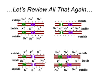 …Let’s Review All That Again…
 