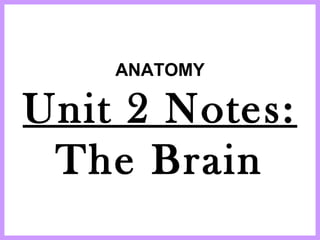ANATOMY
Unit 2 Notes:
The Brain