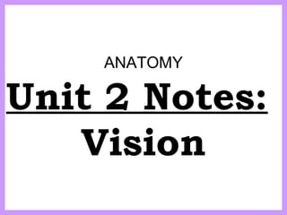 ANATOMY
Unit 2 Notes:
Vision
 