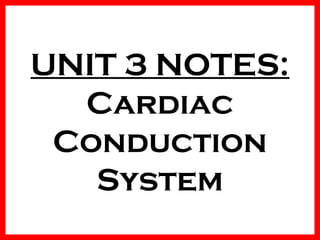 UNIT 3 NOTES:
Cardiac
Conduction
System

 