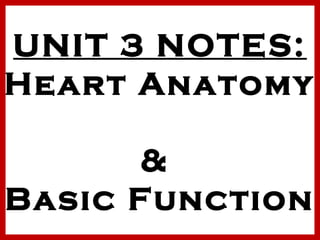 UNIT 3 NOTES:
Heart Anatomy
&
Basic Function

 