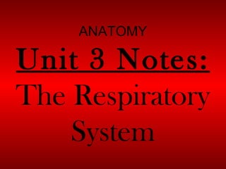 ANATOMY

Unit 3 Notes:
The Respiratory
System

 