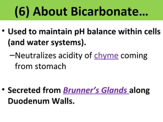 (6) About Bicarbonate… 
• Used to maintain pH balance within cells 
(and water systems). 
–Neutralizes acidity of chyme coming 
from stomach 
• Secreted from Brunner’s Glands along 
Duodenum Walls. 
 