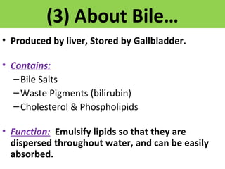 (3) About Bile… 
• Produced by liver, Stored by Gallbladder. 
• Contains: 
–Bile Salts 
–Waste Pigments (bilirubin) 
–Cholesterol & Phospholipids 
• Function: Emulsify lipids so that they are 
dispersed throughout water, and can be easily 
absorbed. 
 