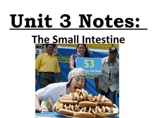 Unit 3 Notes: 
The Small Intestine 
 