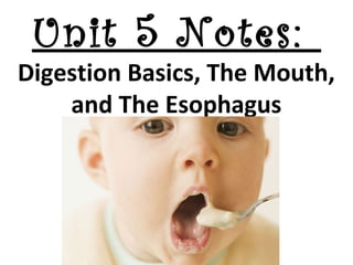 Unit 5 Notes:

Digestion Basics, The Mouth,
and The Esophagus

 