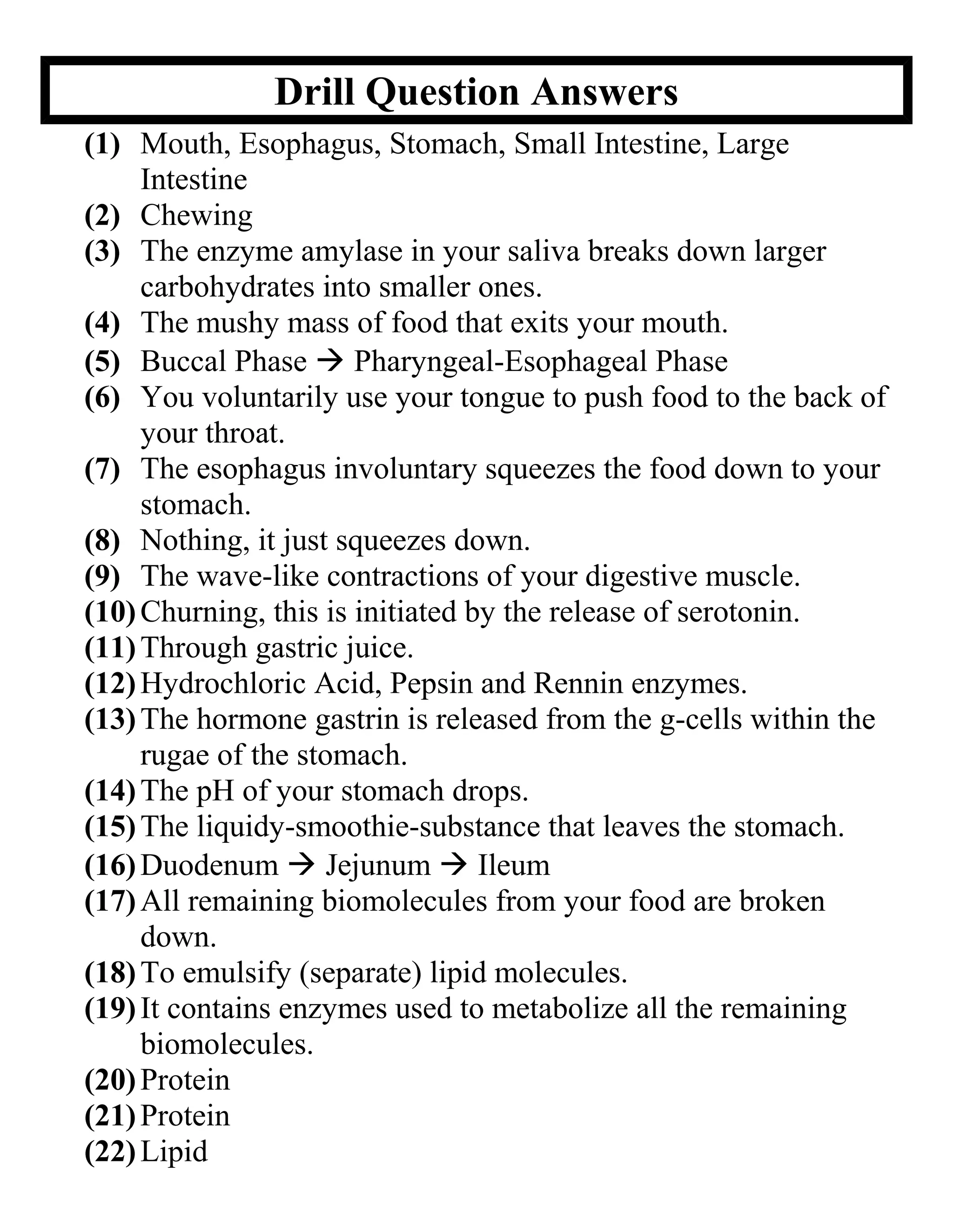 Drill Question Answers
(1) Mouth, Esophagus, Stomach, Small Intestine, Large
Intestine
(2) Chewing
(3) The enzyme amylase in your saliva breaks down larger
carbohydrates into smaller ones.
(4) The mushy mass of food that exits your mouth.
(5) Buccal Phase  Pharyngeal-Esophageal Phase
(6) You voluntarily use your tongue to push food to the back of
your throat.
(7) The esophagus involuntary squeezes the food down to your
stomach.
(8) Nothing, it just squeezes down.
(9) The wave-like contractions of your digestive muscle.
(10) Churning, this is initiated by the release of serotonin.
(11) Through gastric juice.
(12) Hydrochloric Acid, Pepsin and Rennin enzymes.
(13) The hormone gastrin is released from the g-cells within the
rugae of the stomach.
(14) The pH of your stomach drops.
(15) The liquidy-smoothie-substance that leaves the stomach.
(16) Duodenum  Jejunum  Ileum
(17) All remaining biomolecules from your food are broken
down.
(18) To emulsify (separate) lipid molecules.
(19) It contains enzymes used to metabolize all the remaining
biomolecules.
(20) Protein
(21) Protein
(22) Lipid

 