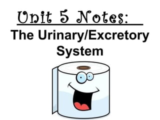 Unit 5 Notes:

The Urinary/Excretory
System

 