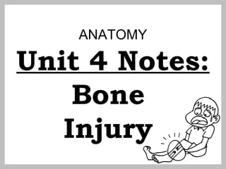 ANATOMY
Unit 4 Notes:
Bone
Injury
 