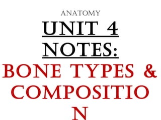 ANATOMY 
UNiT 4 
NOTes: 
BONe TYpes & 
COMpOsiTiO 
N 
 