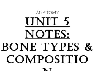 ANATOMY

UNiT 5
NOTes:
BONe TYpes &
COMpOsiTiO

 