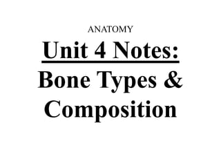 ANATOMY
Unit 4 Notes:
Bone Types &
Composition
 